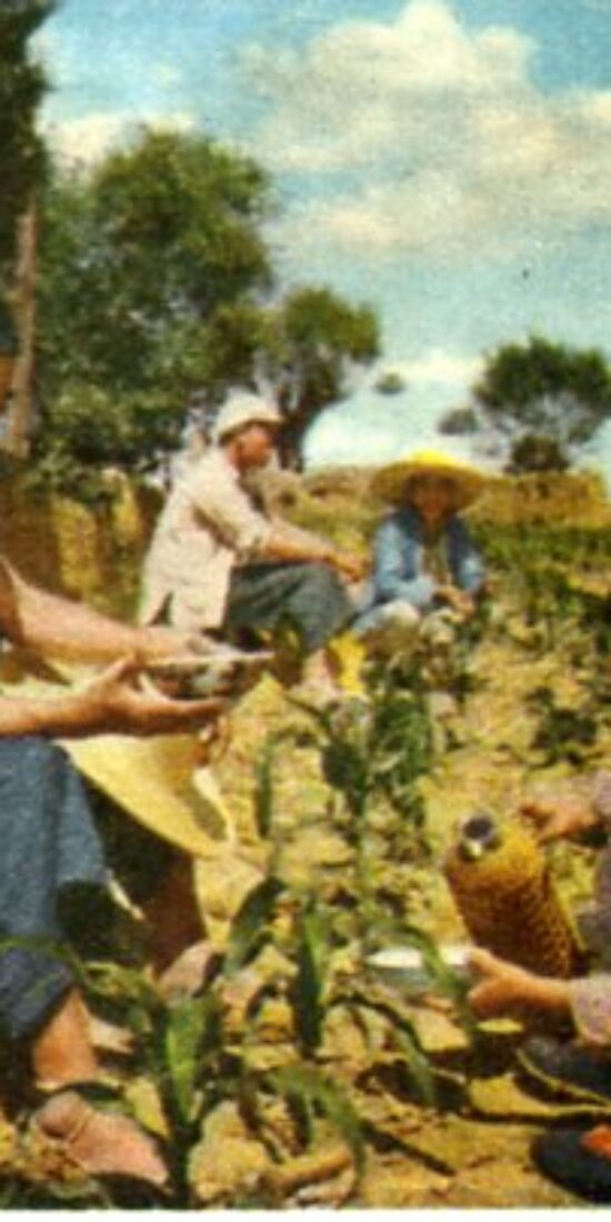 Women and Water and Soil Conservation in 1950s Gansu