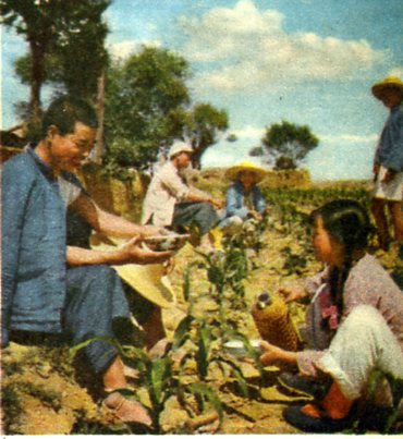 Women and Water and Soil Conservation in 1950s Gansu